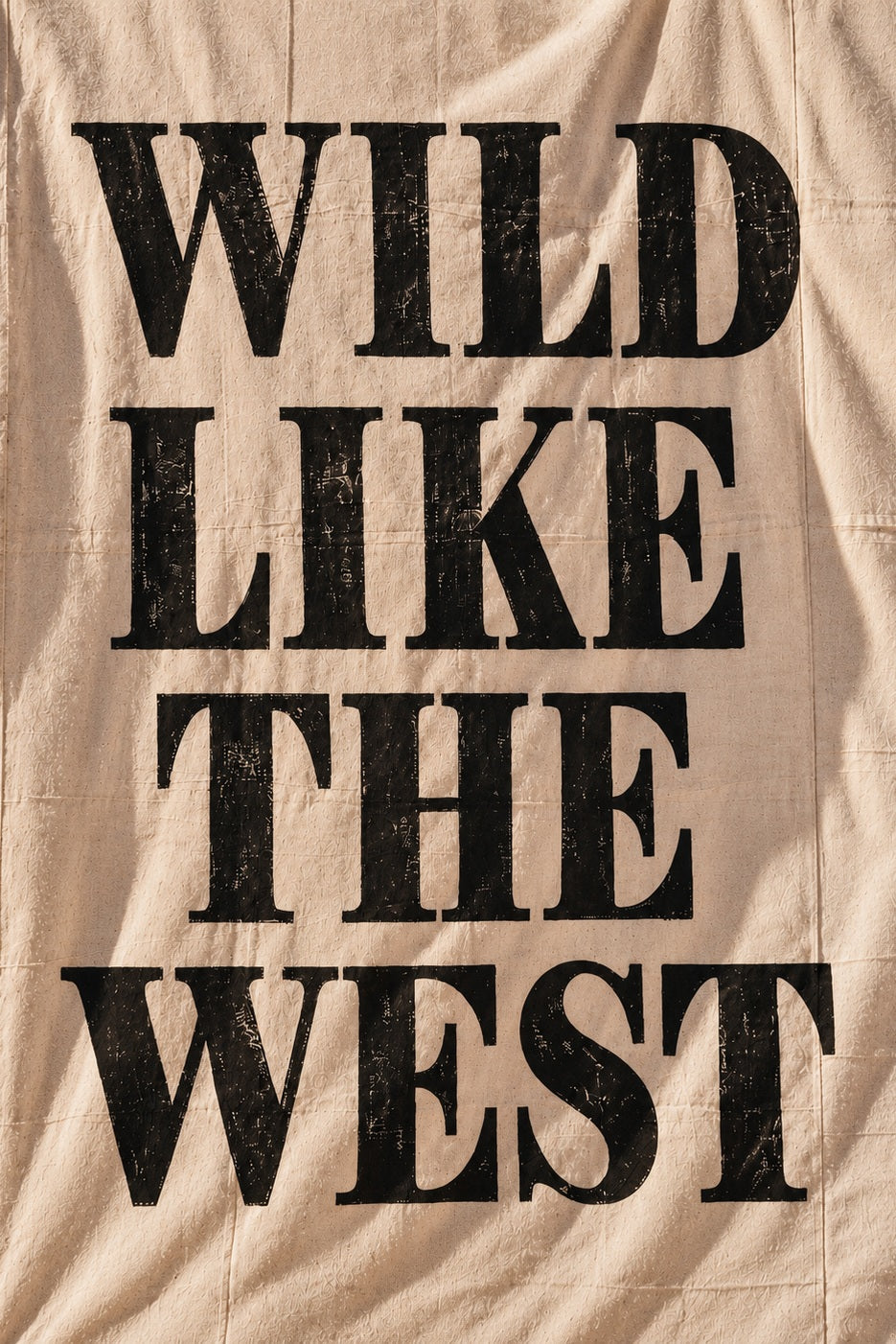 Wild Like the West — Rodeo