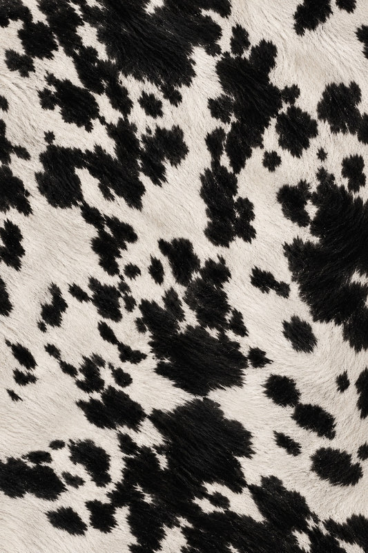 Cowhide — Rodeo
