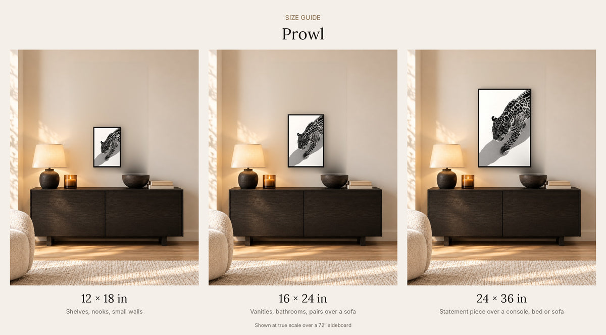 Prowl — Wild